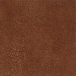 Buckskin Auburn TP744