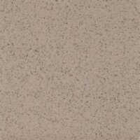 Teaberry 52175