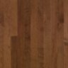 Plymouth_Brown15w.jpg