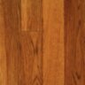 Hickory_Sundance86.jpg Hickory_Sundance86.jpg