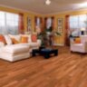 Hickory_Sundance1re.jpg Hickory_Sundance1re.jpg