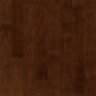 Cocoa_Brown1ro.jpg