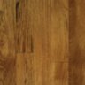 Hickory_Saddlefa.jpg Hickory_Saddlefa.jpg
