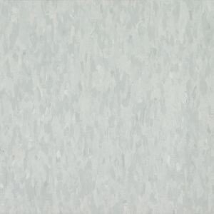 Powder Gray T3505